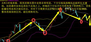 长方形脑袋， 无魄力 (缺少担当)