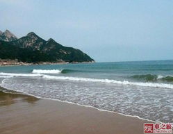 团队旅游攻略：携手同行，共享欢乐