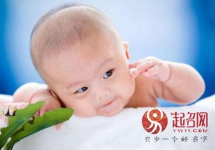 狗年宝宝取名有哪些技巧和注意事项？