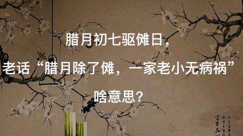 导语