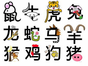从十二生肖的角度来堪堪这一天的宜忌