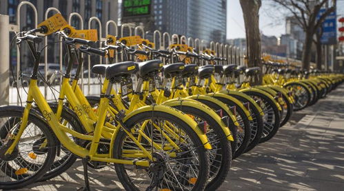 共享单车：解决“一公里”的烦恼， 比打车灵活