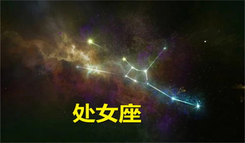 巨蟹座：身体是革命的本钱