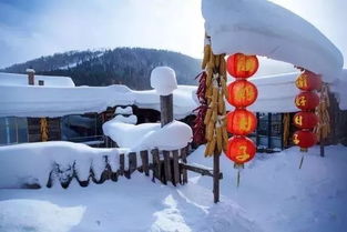 雪乡：童话世界or宰客天堂？