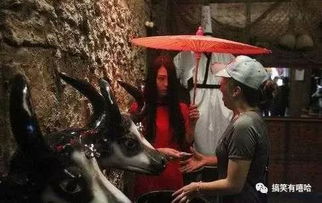 风水学里的厕所大凶