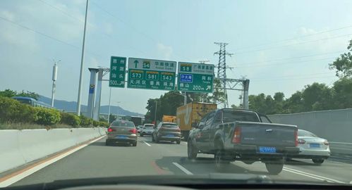 逃离城市牢笼！2026年最邪门的避暑圣地大曝光