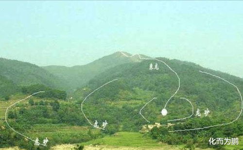 什么叫青龙山,风水之青龙山在哪里