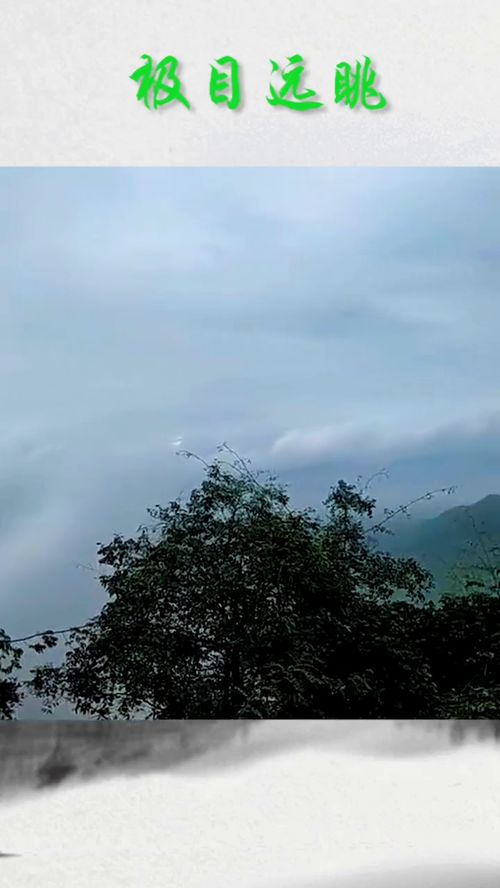 极目远眺打一生肖，最佳生肖是什么生肖？