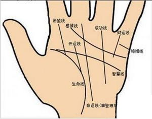 算八字和手相哪种占卜方式在准确性上更胜一筹？