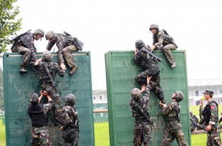 兵马俑的历史背景