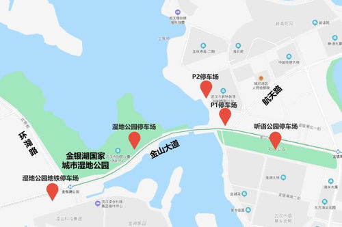 交通全攻略：轻松抵达哈东站的秘密路径