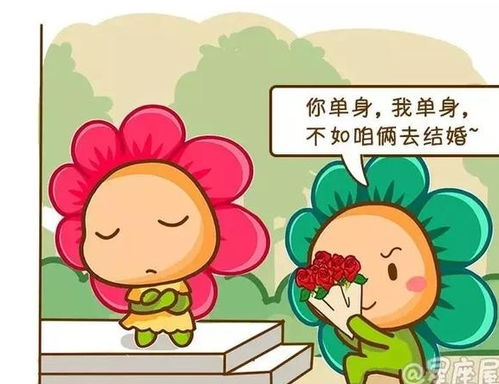 哪个生肖的人被称为铁石心肠，而哪个生肖的人心肠最软呢？