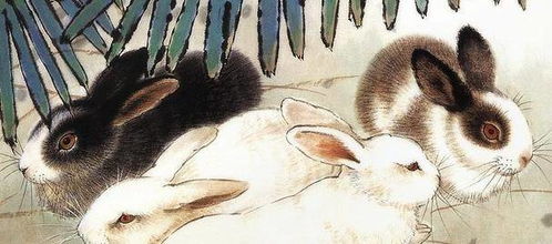 4月16号起，生肖兔事业爆棚，你将如何实现财运双丰收？