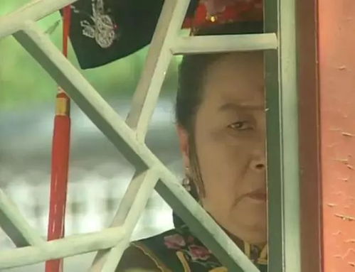 冯友兰那老头儿