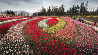 一年四季都有惊喜：季节性玩法大公开