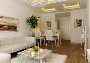 风水电锅放在客厅安全吗？需要注意哪些事项？