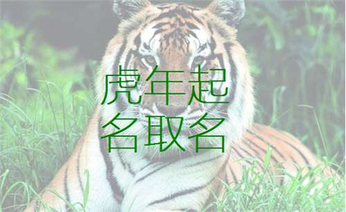 虎年宝宝取名：字音与五行结合是关键