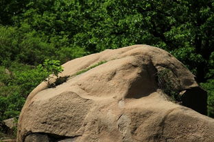 到底多少钱？迷雾重重的票价之谜