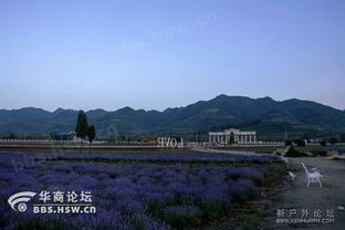 浪漫之旅：清远基地的独特体验