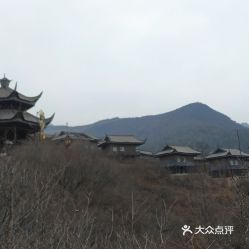 幸福港生态园：鸡飞狗跳的快乐时光