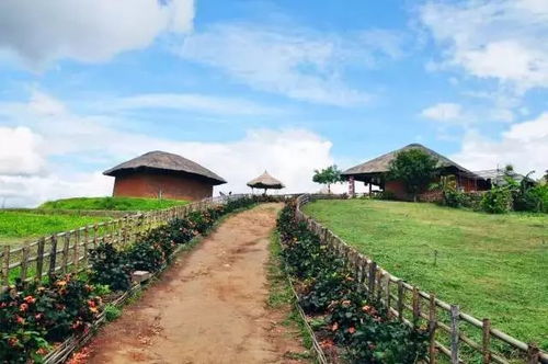 定制体验：你的专属旅程，或者是我的？