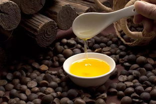 永丰茶油：家的味道