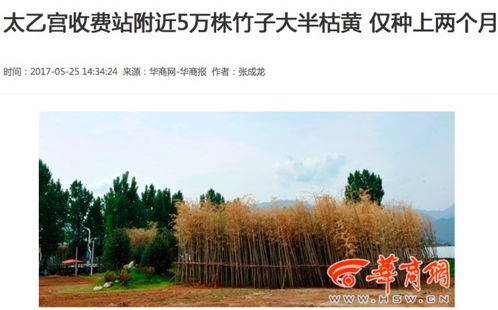 吃住？活着就行！