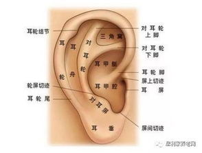 笑死！比吃药还管用的土方法