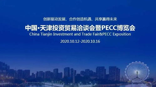 噪音中的情感共鸣——为什么我们仍然爱这场混沌盛宴？