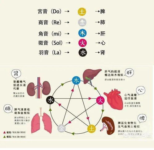 什么风水对肾不好,肾在风水中代表什么地方