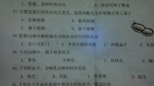 救命啊！快给我来把火