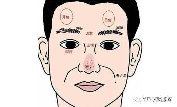 女汉子面相的基本特征