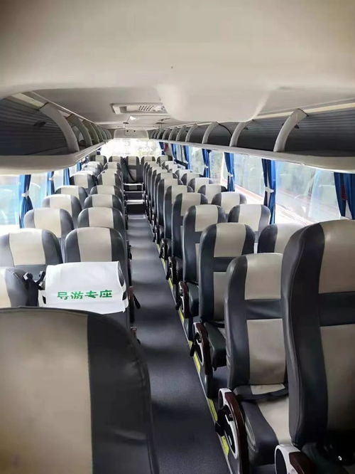 免费旅行较大巴：畅游聊城无压力