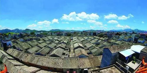 打渔张森林公园：树是真多