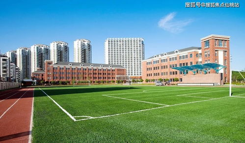 3. 教育黑科技：让游客也想当一天学生