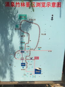 七、常见问题&坑点合集（真实的坑）