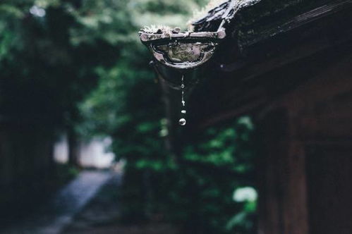 二、 《祈祷》(Inochi no Nagare)：生命的流淌与期盼