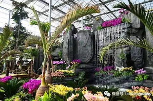 农业公园？菜市场还差不多！