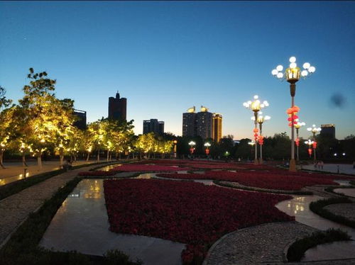 夜幕降临时更精彩：灯光秀与音乐喷泉