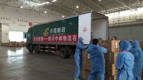 货运服务：游玩物资的生命线