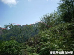 祖坟风水不好怎么办,祖坟风水将军坐帐怎么摆