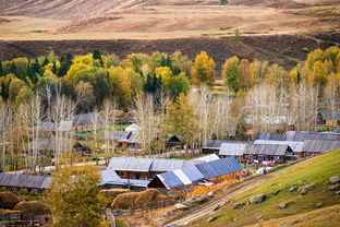 景点真相：滤镜下的残酷现实