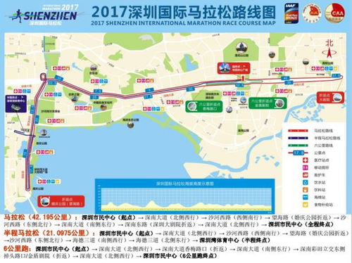 五、 交通运输指南（随意拼装版）!!! 🚗🚇🚌🛴