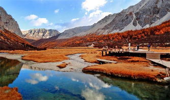 噪音插播：