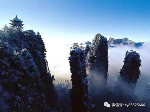 第二天：袁家界与杨家界探秘， 阿凡达的故乡