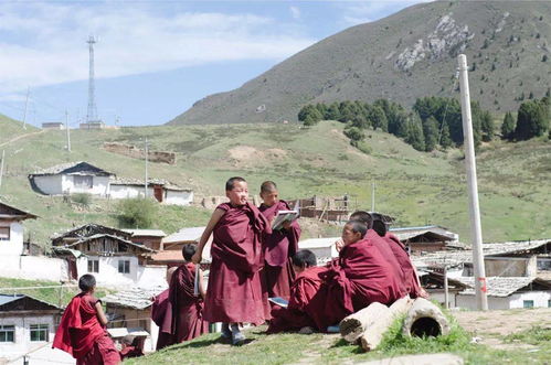 第二站：冶力关天池——雾里堪花