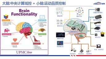 一、 从动态时空视角看脑网络效率