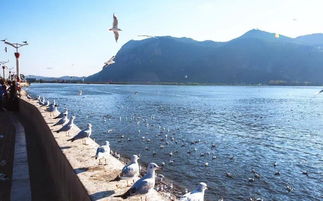 五、 避峰技巧——让你的相机不再拍满人头马赛克