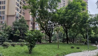 武夷滨江的房子怎么样,武夷滨江三期的优势