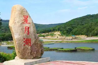 四、天嘉湖特色活动，精彩纷呈 (希望别太吵闹…)